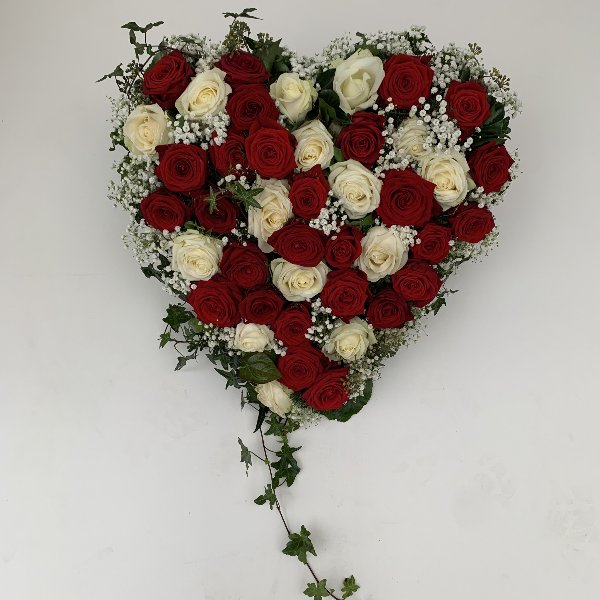 Herz mit roten und weissen Rosen Bild 1