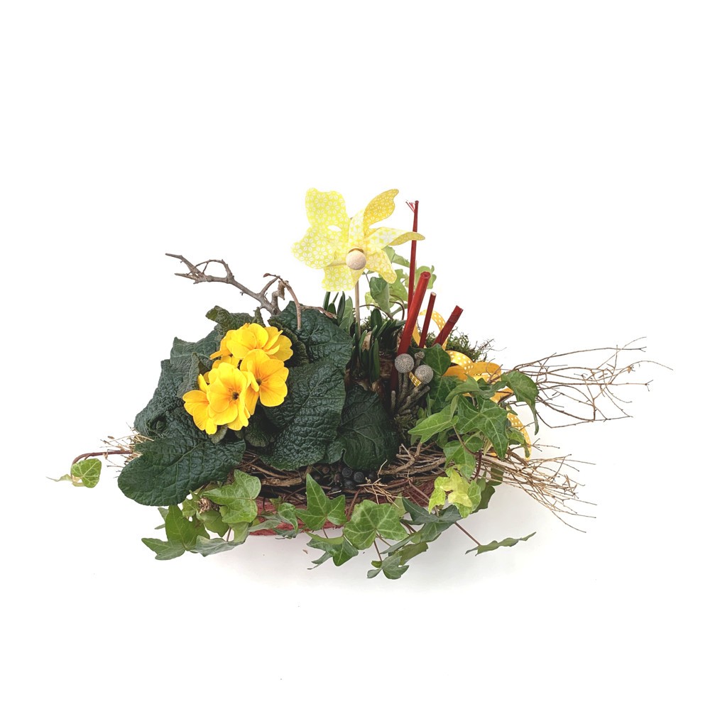 Frühlingspflanzen im Korb, ausdekoriert Bild 2